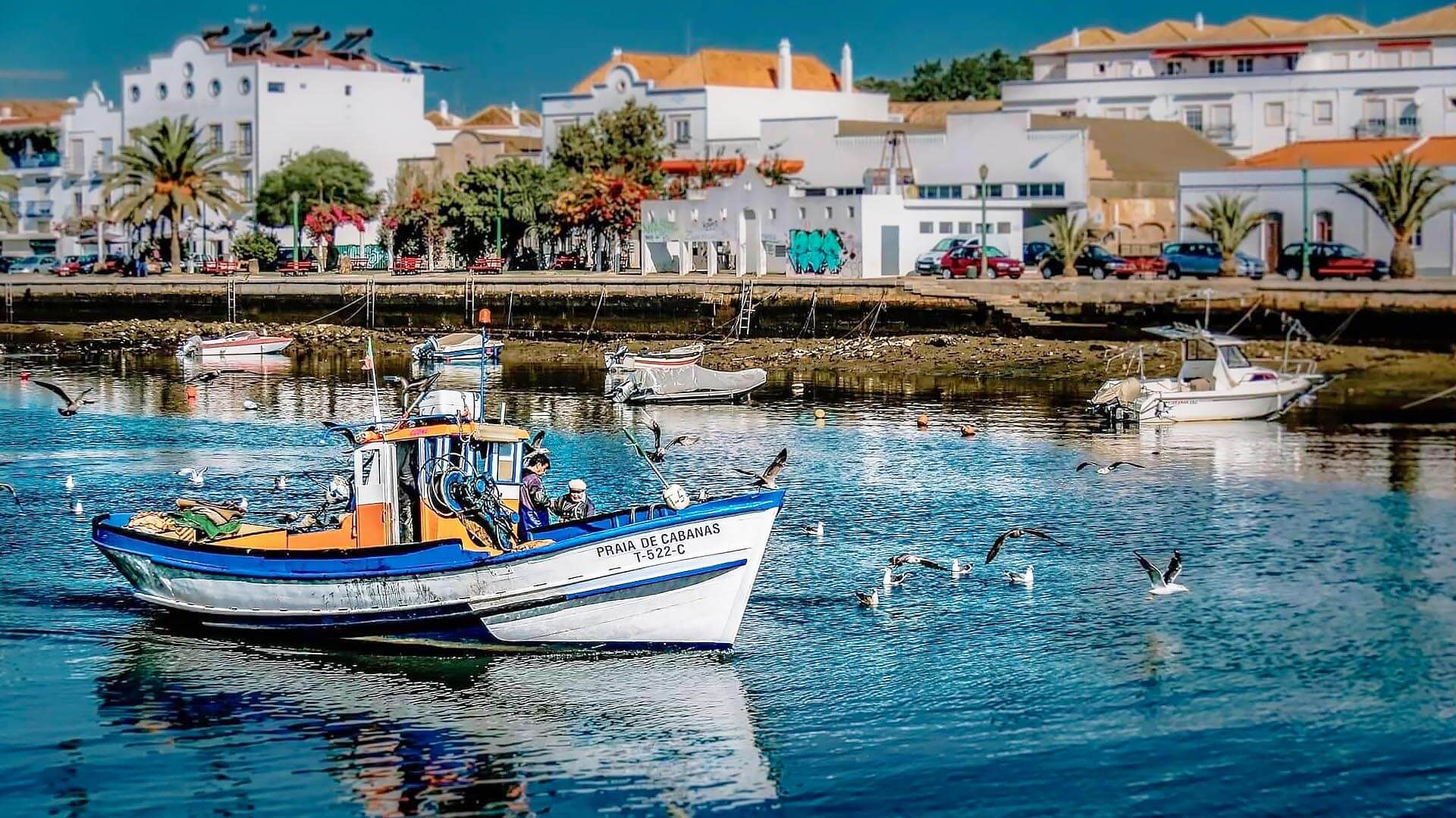 Tavira