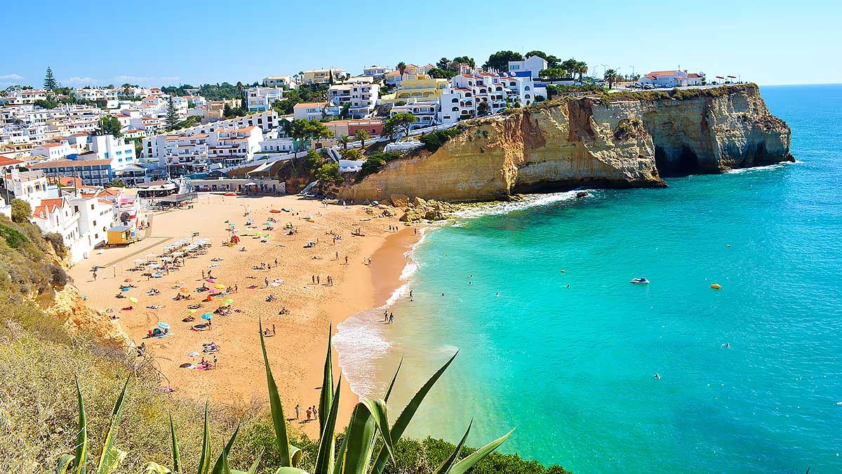 CARVOEIRO